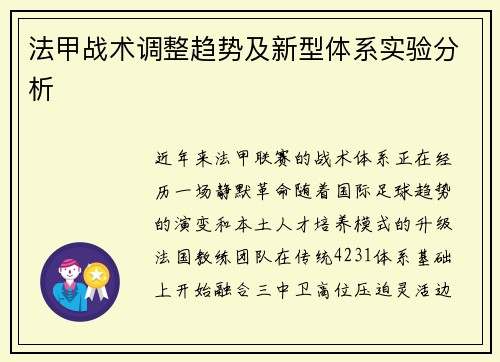 法甲战术调整趋势及新型体系实验分析
