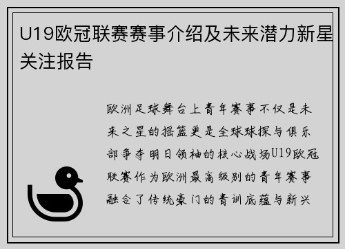 U19欧冠联赛赛事介绍及未来潜力新星关注报告